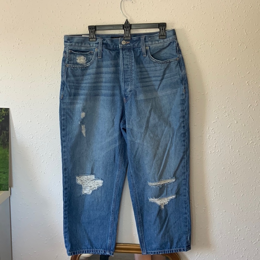 Express‎ Light Wash Distressed Dad Jean